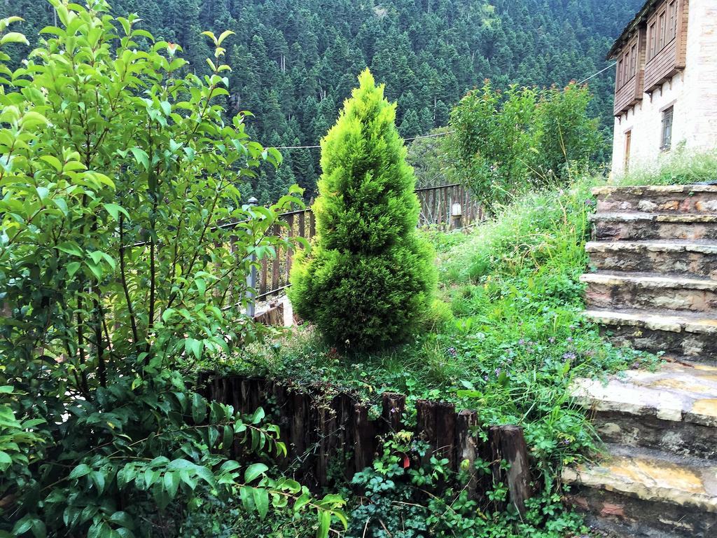 Old Inn Gorianádhes Dış mekan fotoğraf